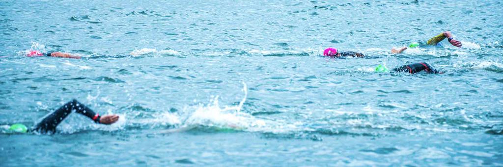 swim_large swim_large